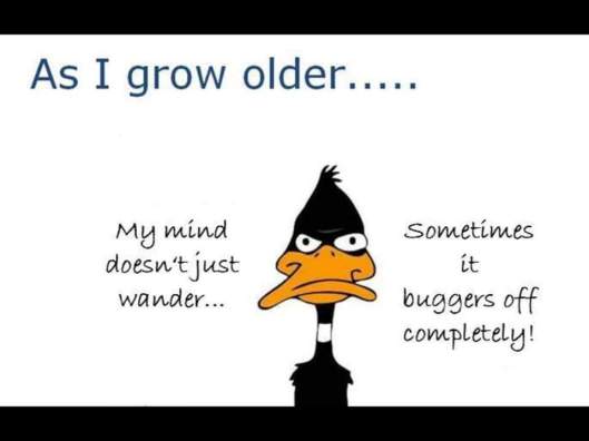 grow older